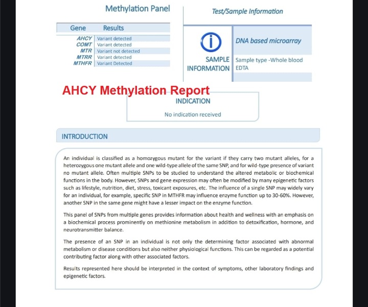 Image of Methylation